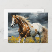Ein herrliches Pinto Pferd Postkarte (Vorne/Hinten)