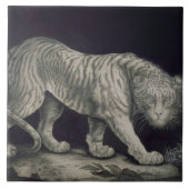 Ein herumstreichender Tiger (Bleistift auf Papier) Fliese (Vorderseite)