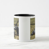 Ein HH-60 Pave Hawk fliegt über die Wüste Tasse (Zentrum)