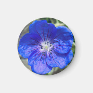 Ein Hinweis auf Z "Blue Floral"-Magnet Magnet