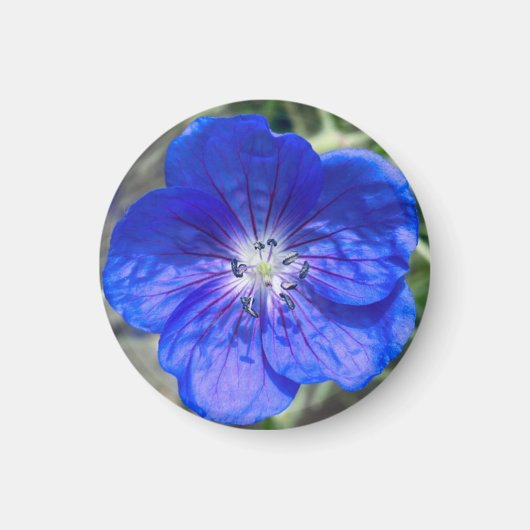 Ein Hinweis auf Z "Blue Floral"-Magnet Magnet (Vorne)