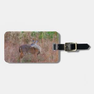 Ein Hirsch im großen Gras Gepäckanhänger