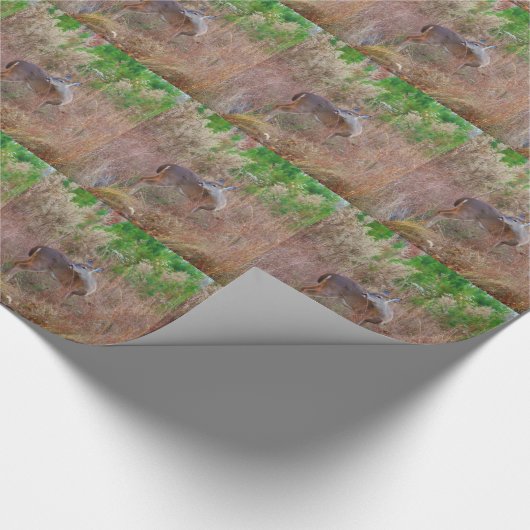 Ein Hirsch im großen Gras Geschenkpapier (Ecke)