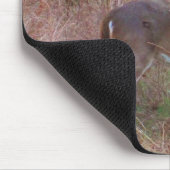 Ein Hirsch im großen Gras Mousepad (Ecke)
