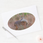 Ein Hirsch im großen Gras Ovaler Aufkleber (Umschlag)