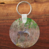 Ein Hirsch im großen Gras Schlüsselanhänger (Vorderseite)