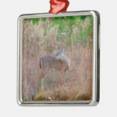 Ein Hirsch im großen Gras Silbernes Ornament (Links)