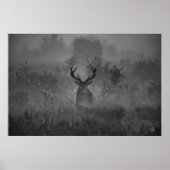 Ein Hirsch im Nebel Poster (Vorne)