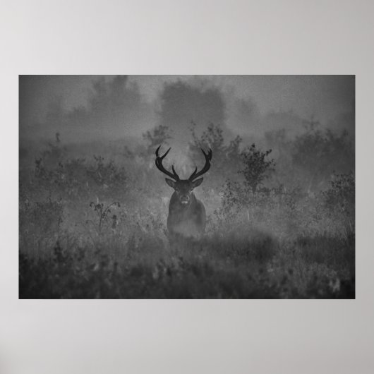 Ein Hirsch im Nebel Poster (Vorne)