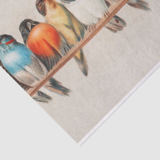 Ein Hirsch von Hector Giacomelli Seidenpapier (Ausschnitt)