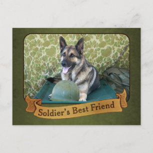 Ein Hirte ist der beste Freund eines Soldaten Postkarte