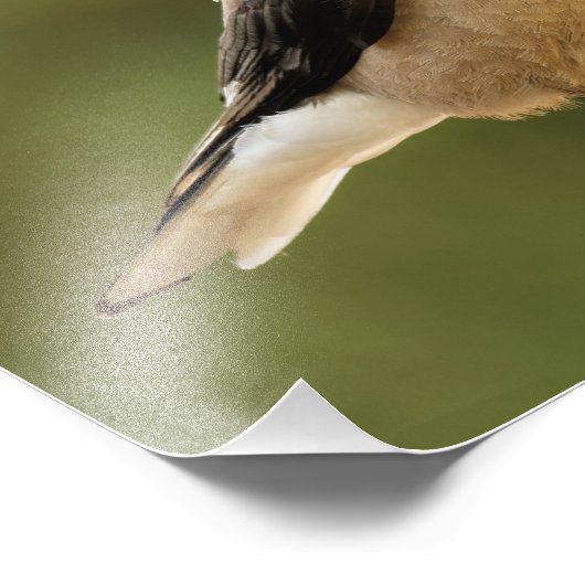 Ein hoffnungsvoller Clarks Nutcracker Fotodruck (Ecke)