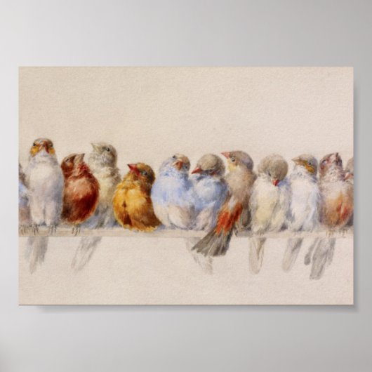 Ein Höhepunkt des Vogelhektors Giacomelli 1880 Poster (Vorne)