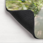 Ein hölzerner Weg durch den Regenwald, in Mousepad (Ecke)