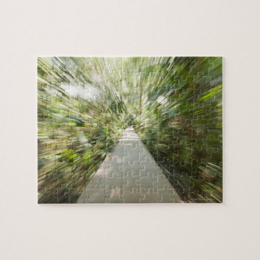 Ein hölzerner Weg durch den Regenwald, in Puzzle (Horizontal)