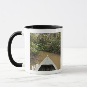 Ein hölzernes Kanu, das von Eucylptus Baum Tasse