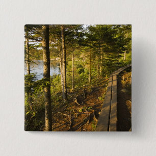 Ein Holzsteg im Acadia National Park Maine Button