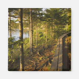 Ein Holzsteg im Acadia National Park Maine Magnet