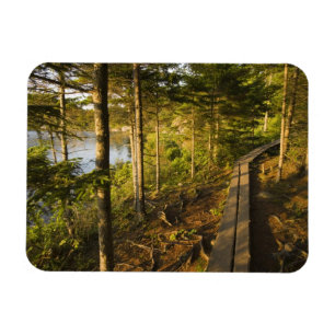 Ein Holzsteg im Acadia National Park Maine Magnet
