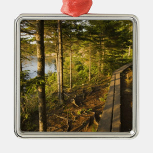 Ein Holzweg über den Acadia Nationalpark Maine Silbernes Ornament