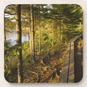 Ein Holzweg über den Acadia Nationalpark Maine Untersetzer