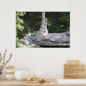 Ein Holzwolf in der Erholung. Poster (Küche)