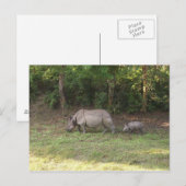 Ein Hornhaut-Nashorn Chitwan Nationalpark Nepal Postkarte (Vorne/Hinten)