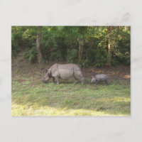 Ein Hornhaut-Nashorn Chitwan Nationalpark Nepal