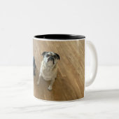 Ein Hot Dog und ein Mops! Zweifarbige Tasse (VorderseiteRechts)