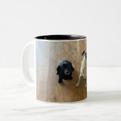 Ein Hot Dog und ein Mops! Zweifarbige Tasse (Vorderseite Links)