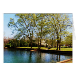 Ein Hübscher Frühlingstag im Park