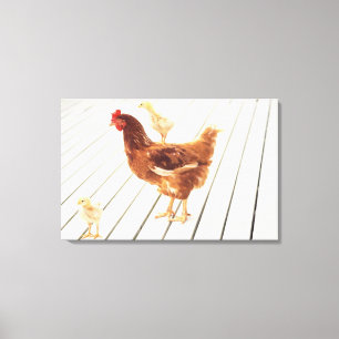Ein Huhn und zwei Küken auf einem hölzernen Bode Leinwanddruck