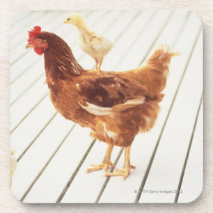 Ein Huhn und zwei Küken auf einem hölzernen Bode Untersetzer