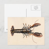Ein Hummer aus Solva Postkarte (Vorne/Hinten)