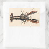 Ein Hummer aus Solva Rechteckiger Aufkleber (Tasche)
