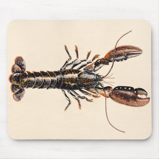 Ein Hummer von Solva Mousepad (Vorne)