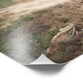 Ein Humvee leitet Sicherheit Fotodruck (Ecke)