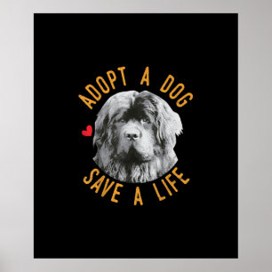 Ein Hund Adoptieren Ein Leben Retten Newfoundland- Poster