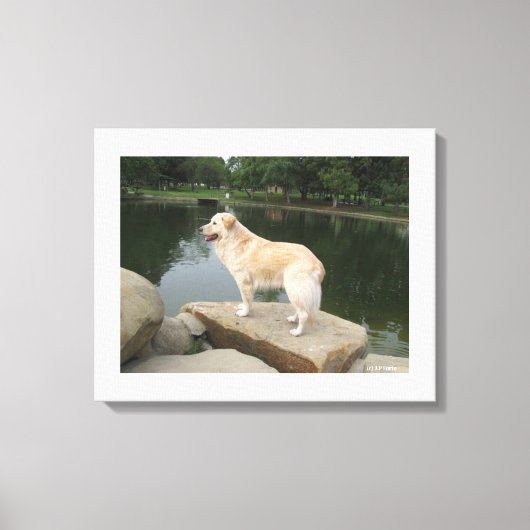 Ein Hund an einem Teich Leinwanddruck (Vorderseite)
