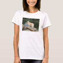 Ein Hund an einem Teich