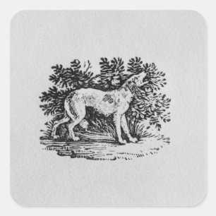 Ein Hund aus der "Geschichte der Quadrupeds" Quadratischer Aufkleber