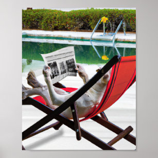 Ein Hund, der am Pool eine Zeitung liest Poster