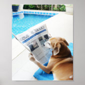 Ein Hund, der am Pool eine Zeitung liest Poster (Vorne)