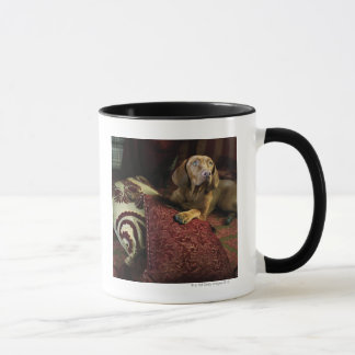 Ein Hund, der auf Kissen liegt Tasse