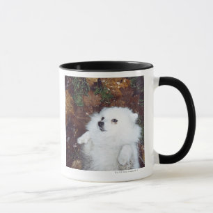 Ein Hund, der auf nassen Herbstblättern liegt Tasse