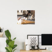 Ein Hund, der ein Eis aus einem Gehsteig isst Poster (Heimbüro)