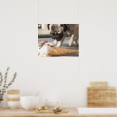 Ein Hund, der ein Eis aus einem Gehsteig isst Poster (Küche)