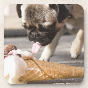 Ein Hund, der eine Eiscreme von einer Plasterung Getränkeuntersetzer