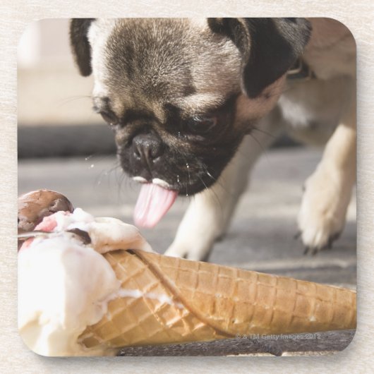 Ein Hund, der eine Eiscreme von einer Plasterung Getränkeuntersetzer (Vorderseite)