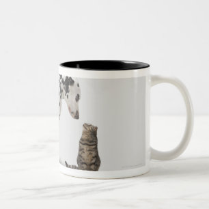 Ein Hund, der eine Katze betrachtet Zweifarbige Tasse